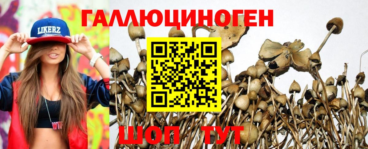 Псилоцибиновые грибы MAGIC MUSHROOMS Ростов-на-Дону