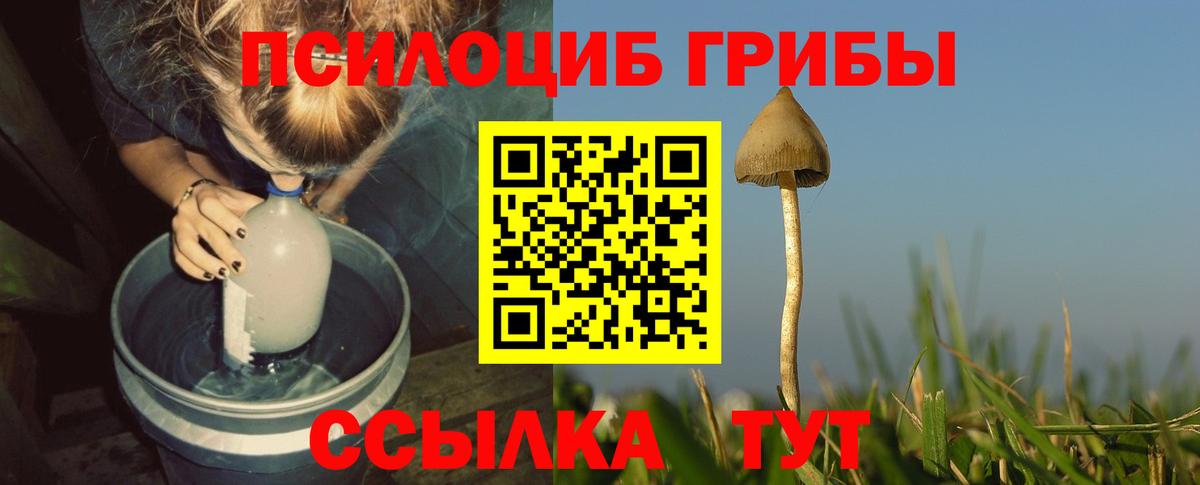 Псилоцибиновые грибы прущие грибы  Вход с VPN  дарнет шоп  Ростов-на-Дону 
